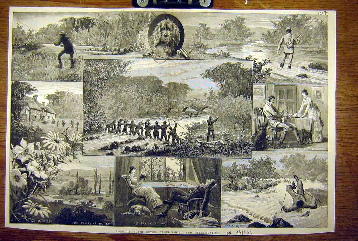 Old Antique Print 1883 Trout-Fishing Otter-Hunting North-Devon Sketches 19th
