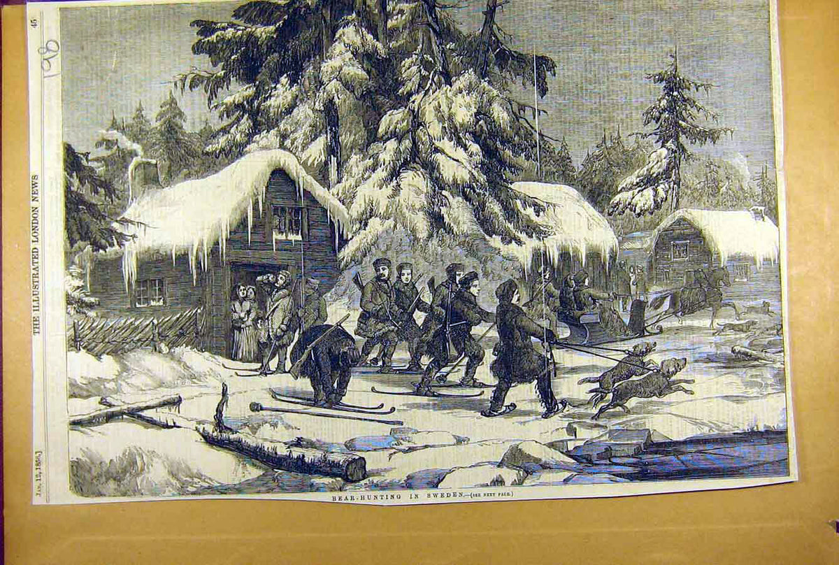 Original Old Antique Print 1856 Bear-Hunting Sweden Hunt Shooting 19th