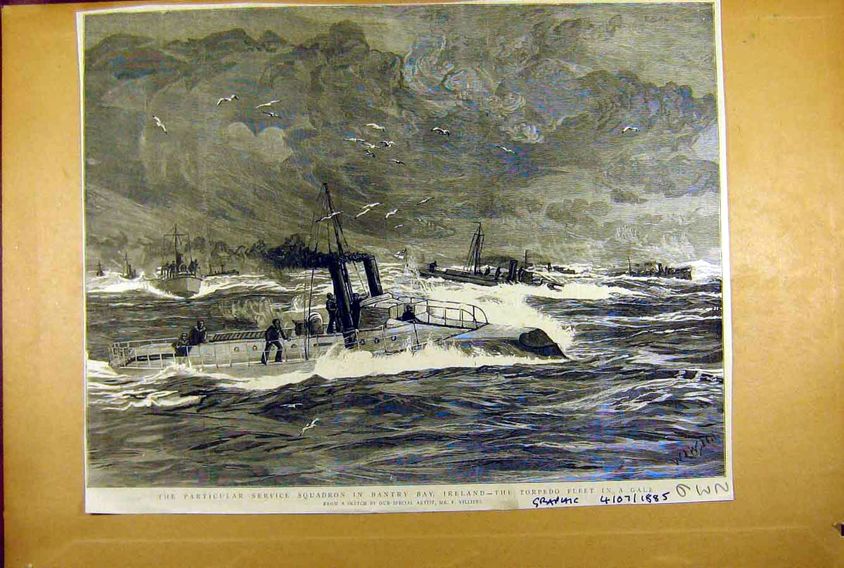 Old Antique Print 1885 Bantry Bay Ireland Torpedo Fleet Service Squadron 19th