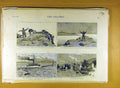 Original Old Antique Print 1885 Military Guns Signal-Man Polyphemus Bantry Town