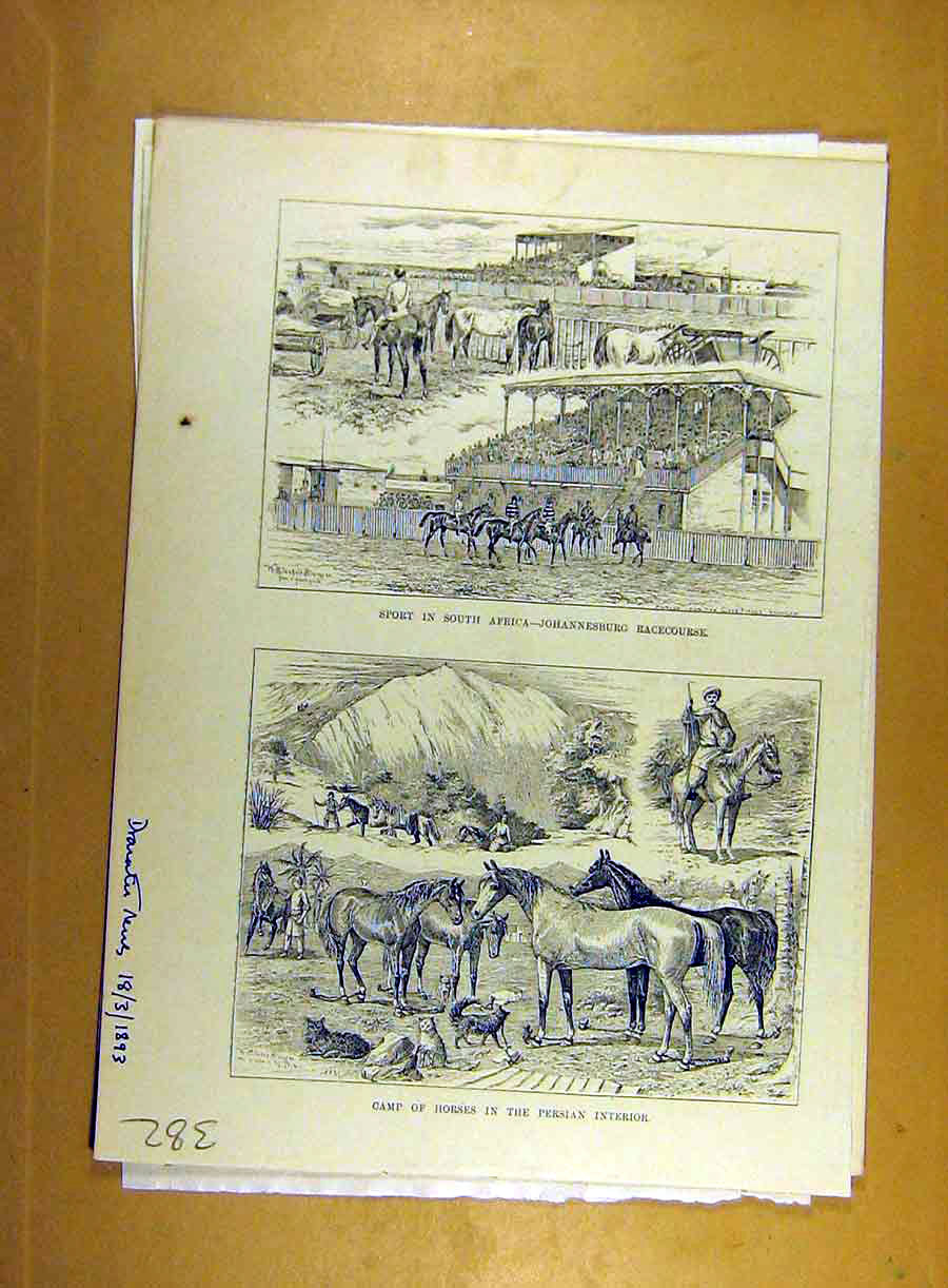 Old Antique Print 1893 Camp Horses Persia Sport Africa Horse-Race-Course 19th