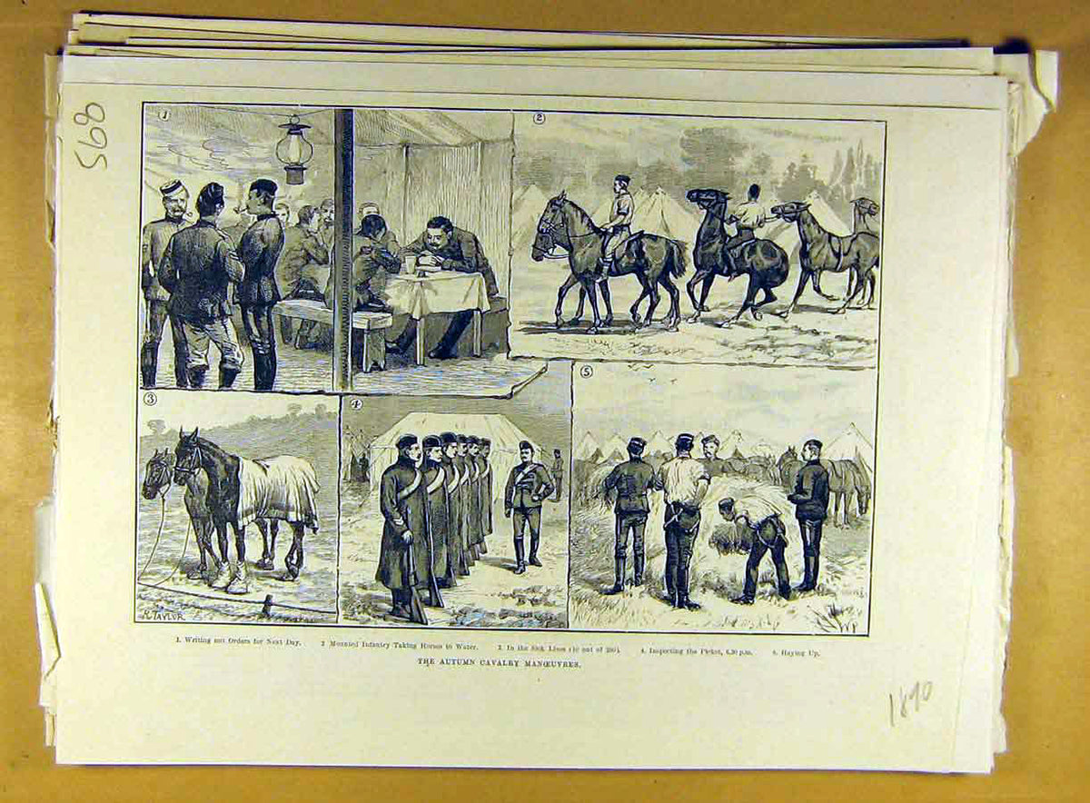 Old Antique Print 1890 Autumn Cavalry Manoeuvres Military Infantry Horse 19th