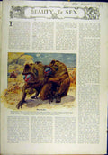 Original Old Antique Print 1911 Animals Mandrills Birds Ruffs Sex Flora Fauna