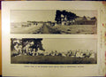 Original Old Antique Print 1904 Picnic Beresford Church Choir Catholic Sports
