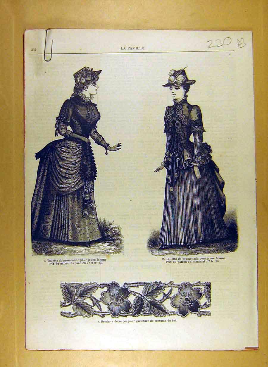 Original Old Antique Print Ref.215 1884 Ladies Fashion Dress Hat Corsage French