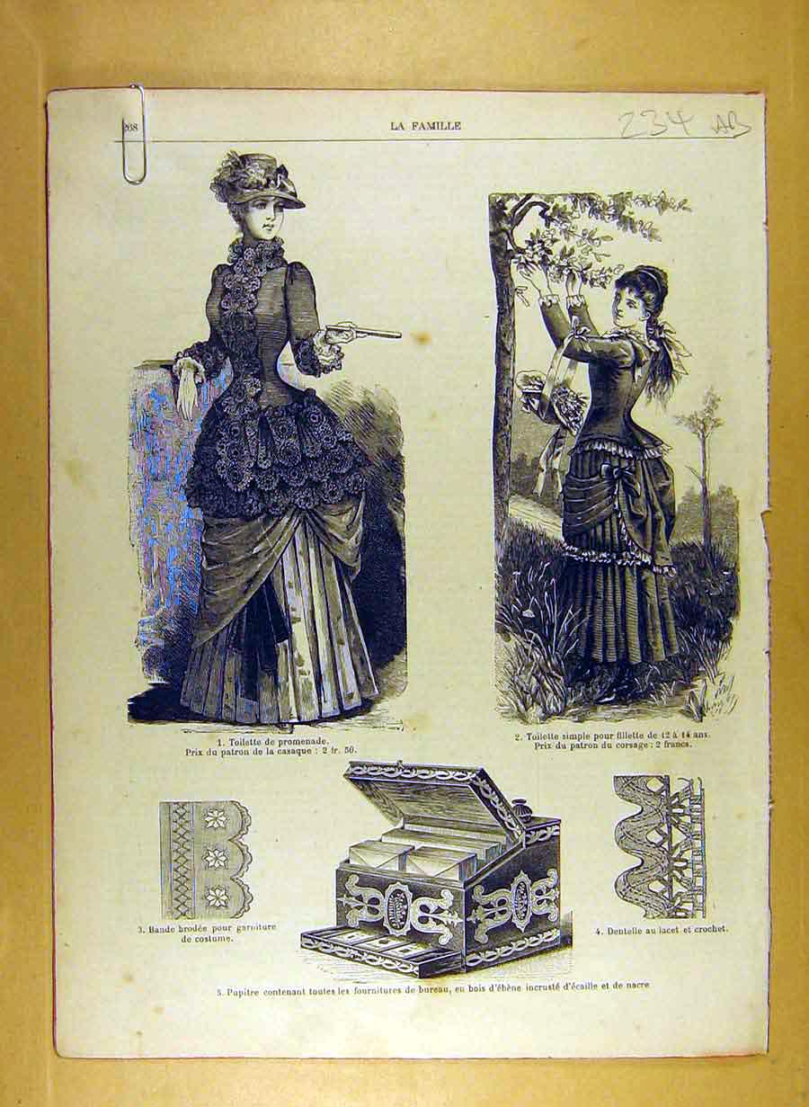 Original Old Antique Print Ref.219 1884 Ladies Fashion Dress Hat Corsage French