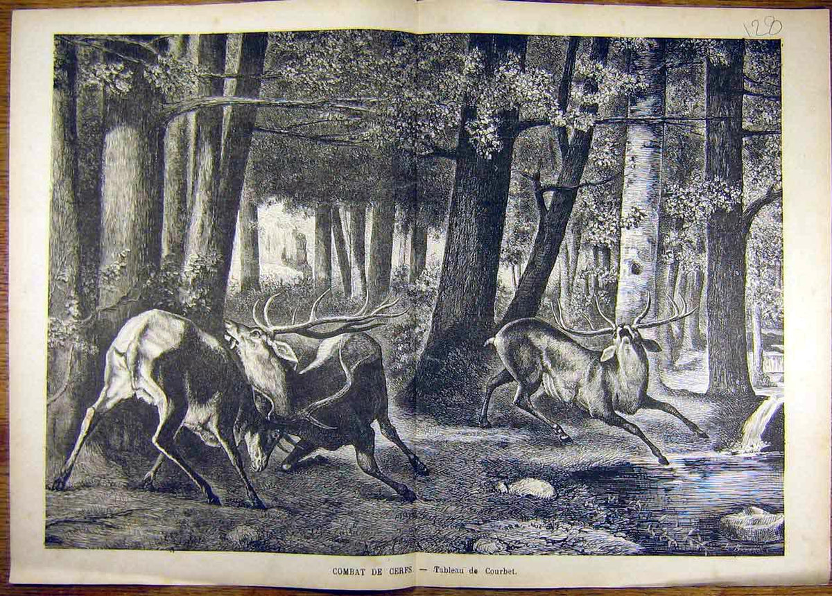 Original Old Antique Print Painting Combat Cerfs Stagg Courbet Fine Art French