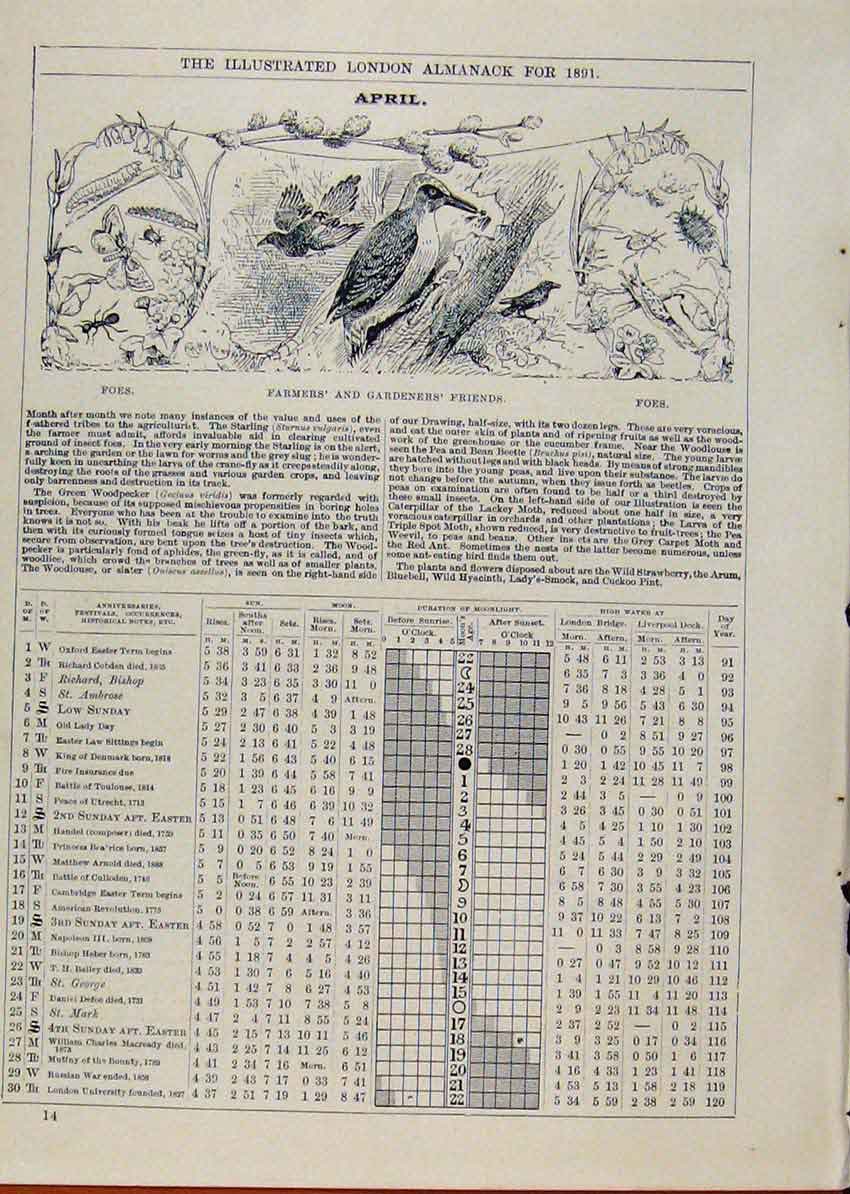 Original Old Antique Print London Almanack Farmers Gardeners Friends 1891 April