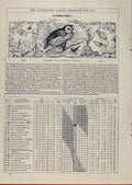 Original Old Antique Print 1891 Farmers Gardeners Birds Animals February Events