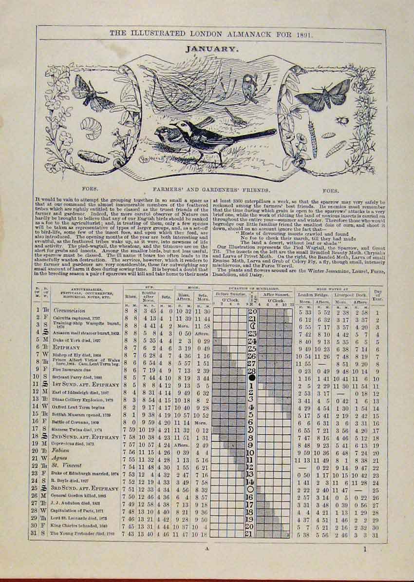 Old Antique Print London Almanack January 1891 Farmers Gardeners Friends 19th