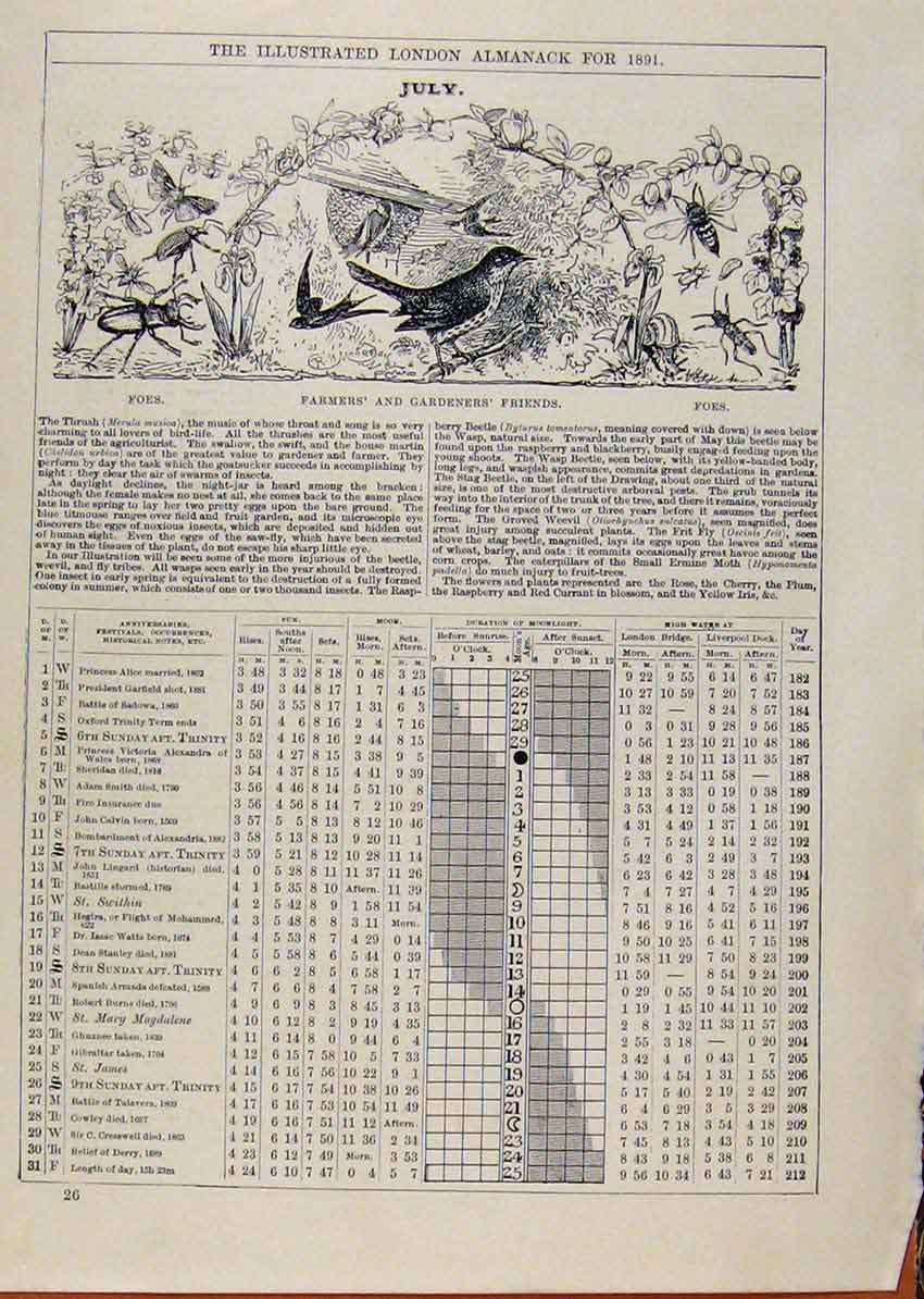 Original Old Antique Print London Almanack July 1891 Famrers Gardeners Friends