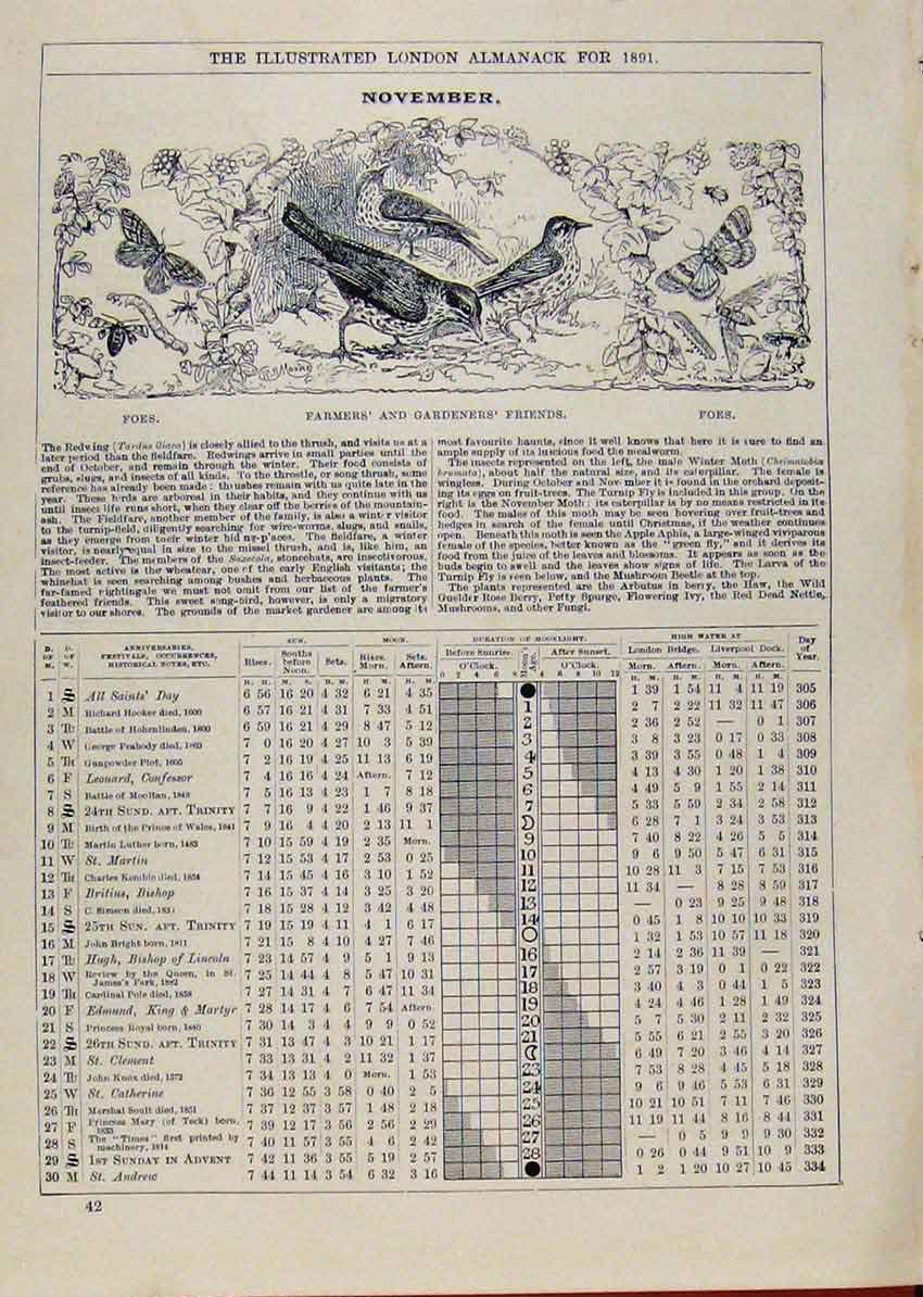 Original Old Antique Print London Almanack Novwember Farmers Gardeners Friends