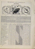 Original Old Antique Print Farmers Bird Butterfly 1891 December Events Diary