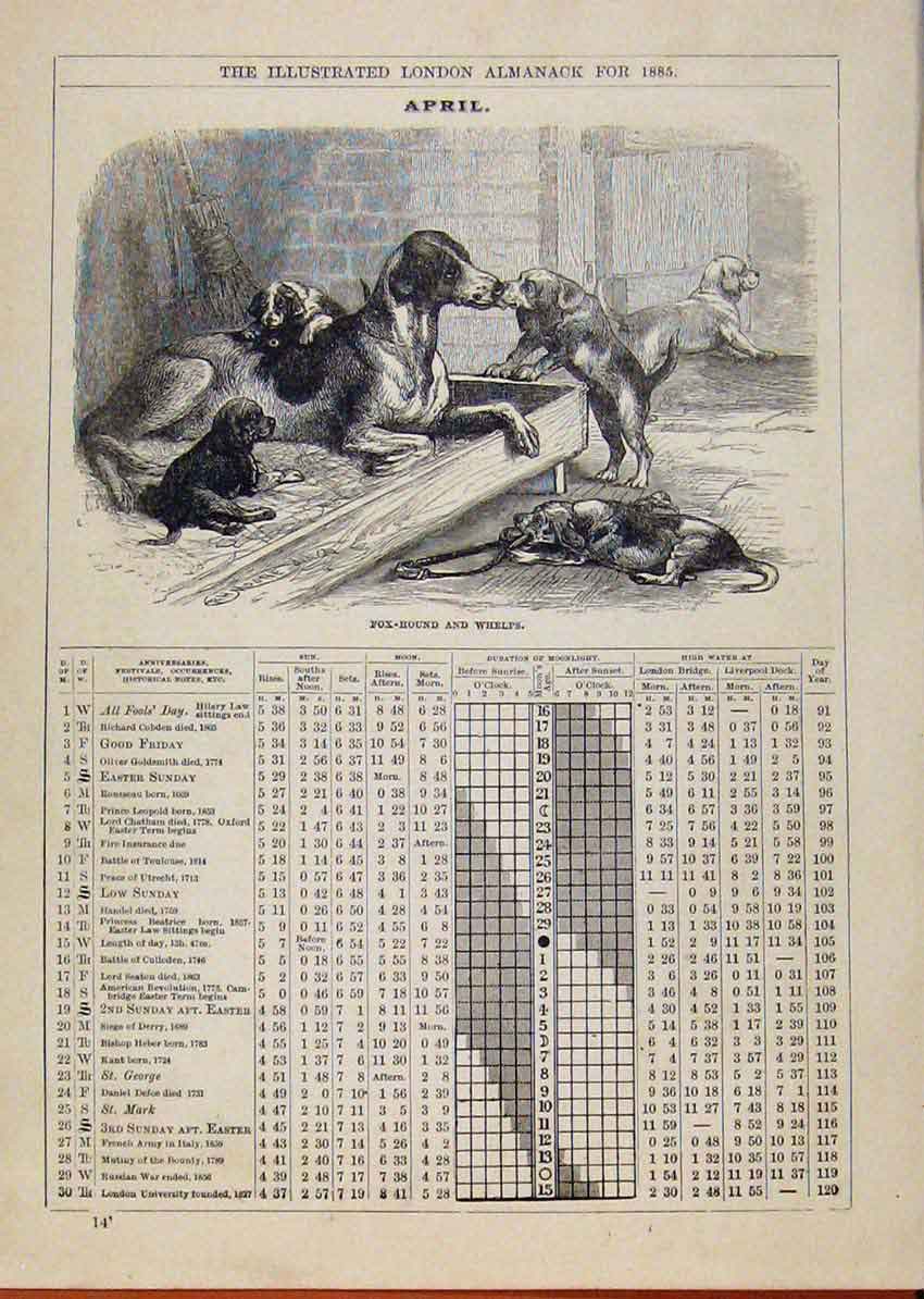 Original Old Antique Print London Almanack April 1885 Fox Hound Whelps Sketch