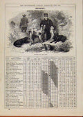 Original Old Antique Print London Almanack August 1885 Dogs Waiting For The Guns