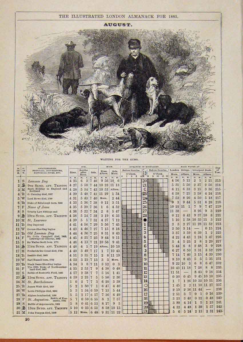 Original Old Antique Print London Almanack August 1885 Dogs Waiting For The Guns