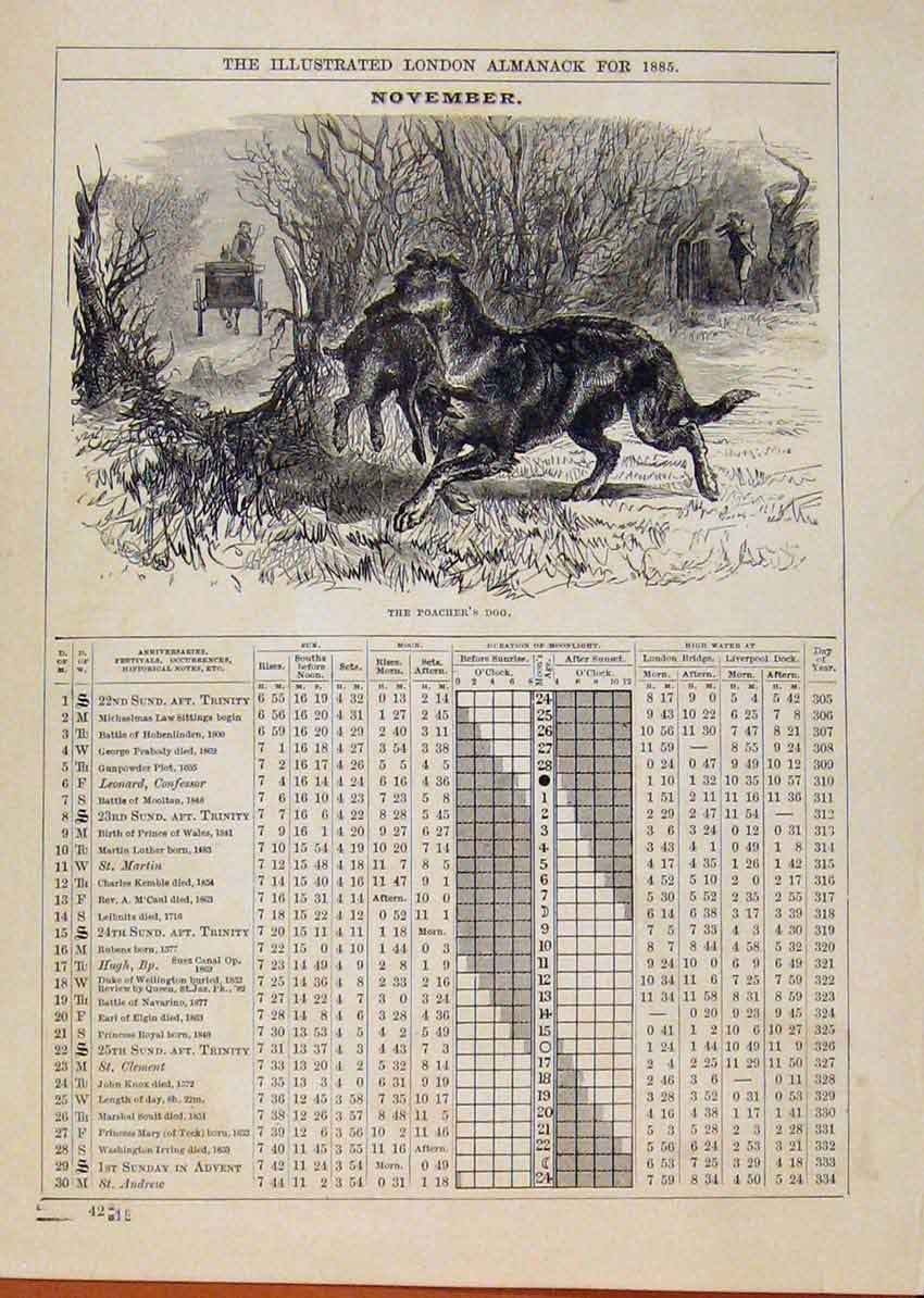 Original Old Antique Print London Almanack Poachers Dog November 1885 Victorian