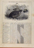 Original Old Antique Print London Almanack April 1886 Gen Plover 19th