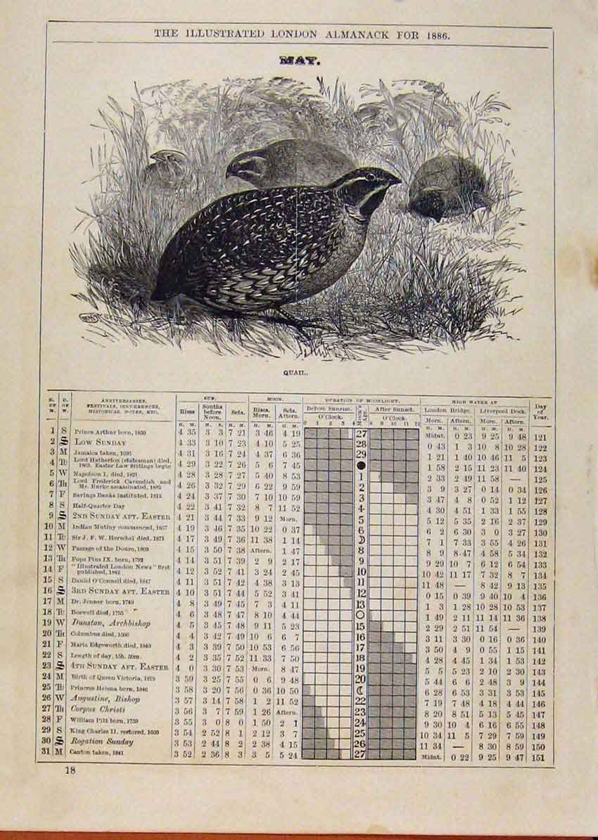 Original Old Antique Print London Almanack April 1886 Gen Plover 19th