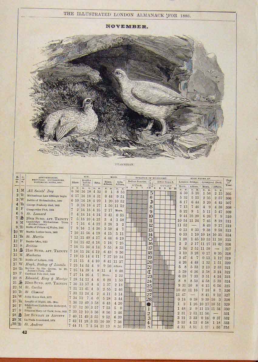 Original Old Antique Print 1886 Birds Ptarmigan November Events Diary Victorian