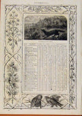 Original Old Antique Print London Almanack November Fox Hunting In Full Swing