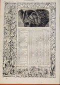 Original Old Antique Print London Almanack December Martin At A Nest Sketch