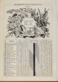 Original Old Antique Print London Almanack July 1866 Wild Flowers Sketch 19th