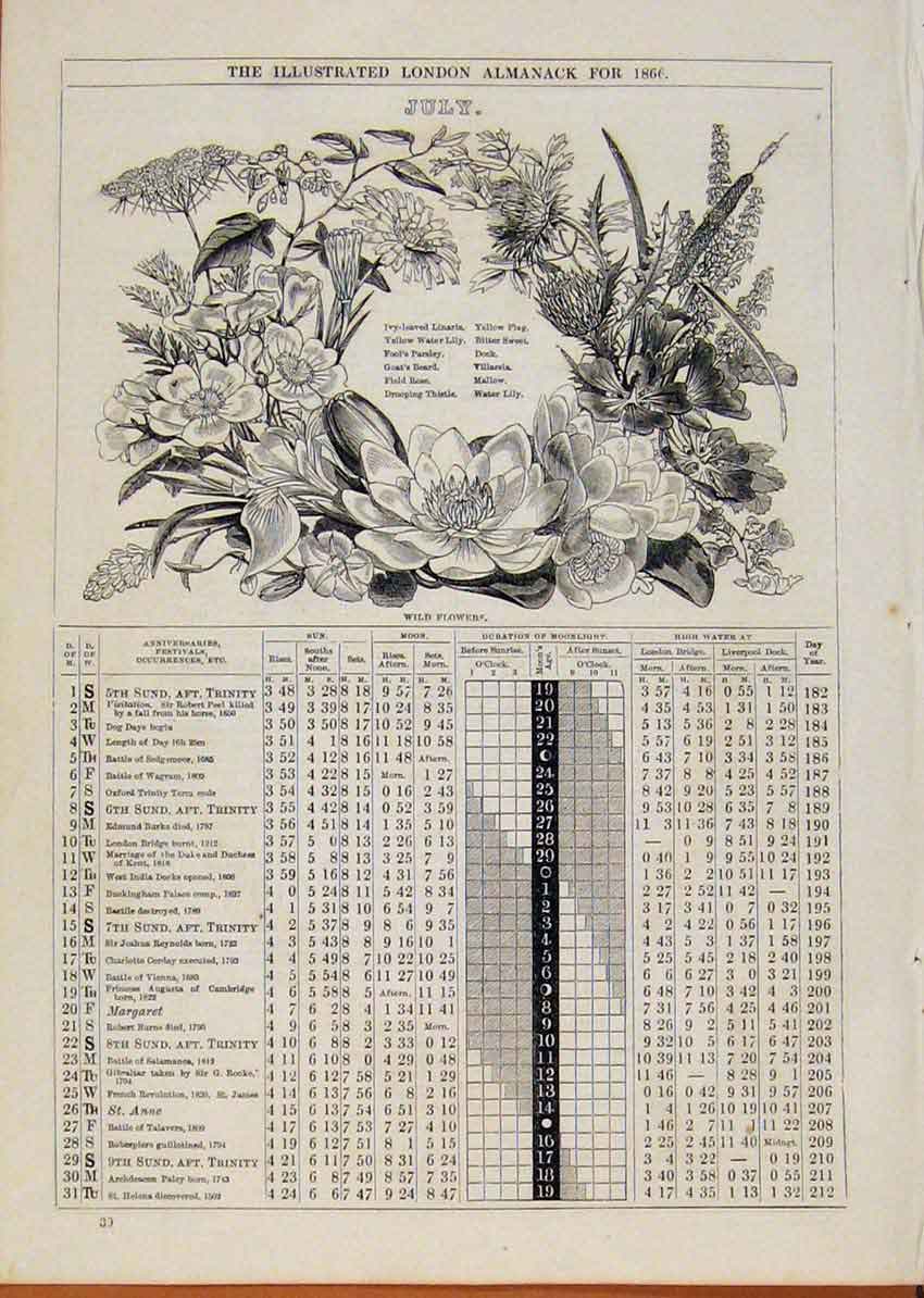 Original Old Antique Print London Almanack July 1866 Wild Flowers Sketch 19th