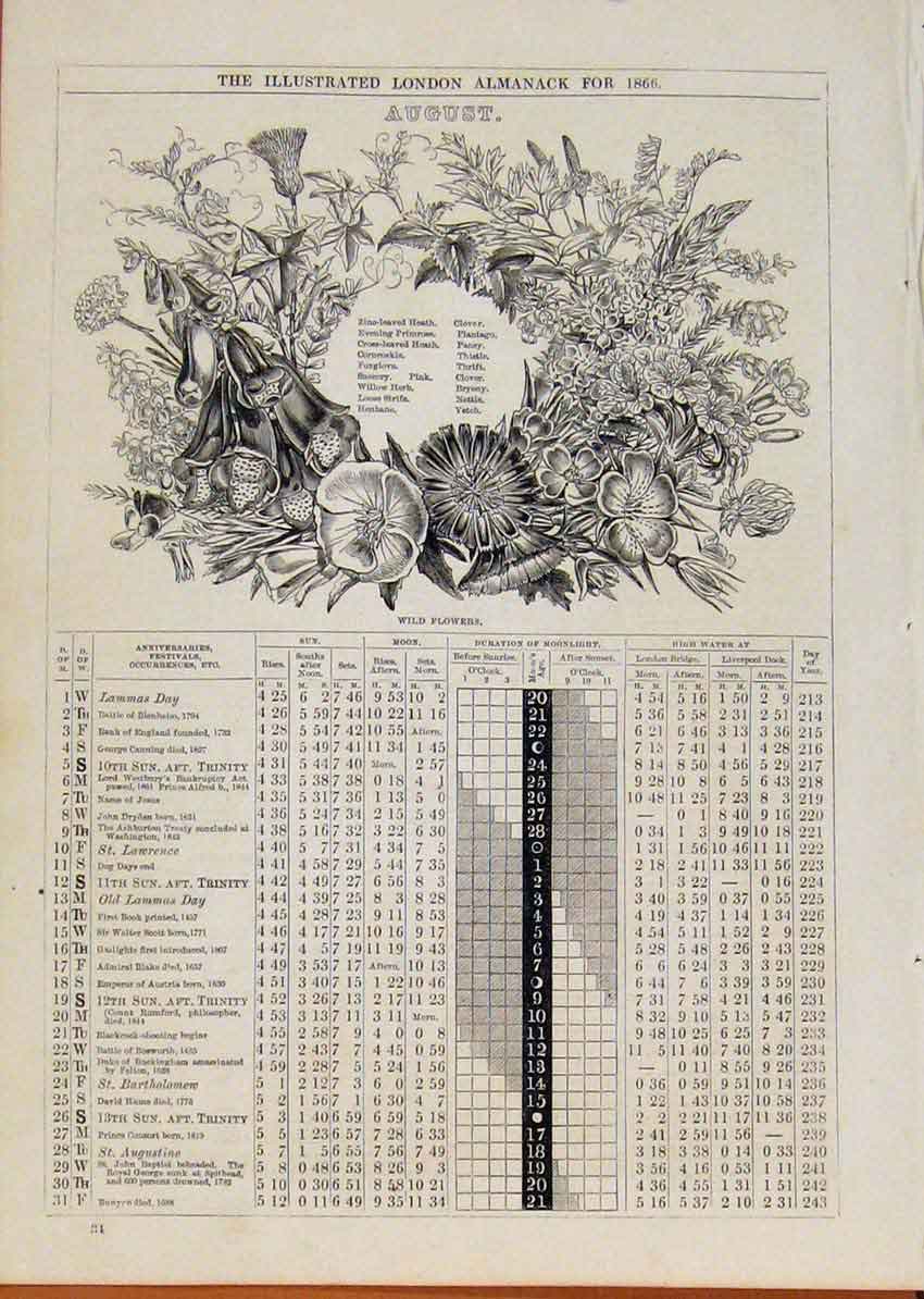 Original Old Antique Print London Almanack August 1866 Wild Flowers Victorian