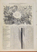 Original Old Antique Print London Almanack December 1866 Fruits 19th