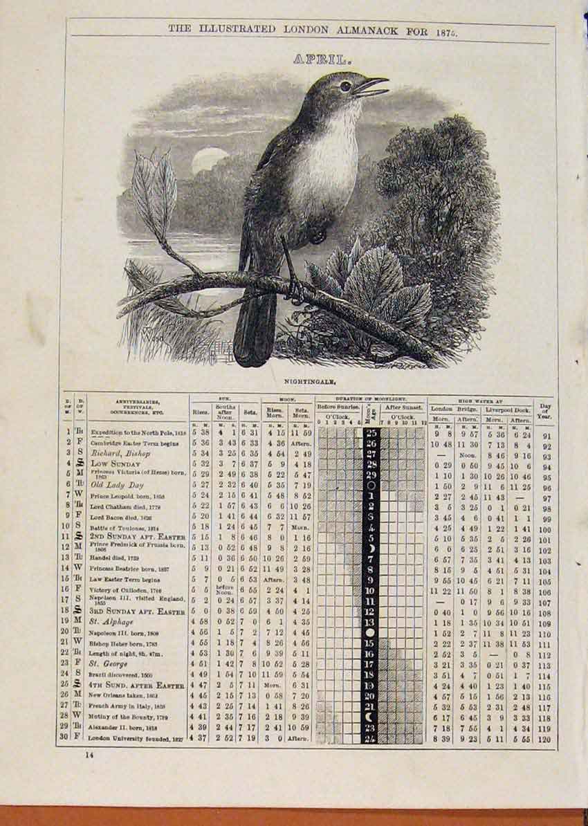 Original Old Antique Print London Almanack Nightingale April 1875 19th