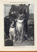 Original Old Antique Print London Almanack 1880 Strangers & Pilgrims Dogs 19th