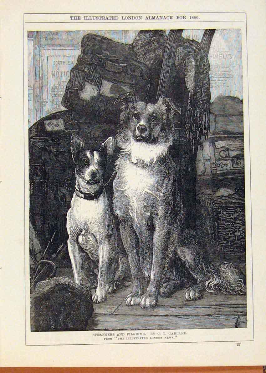 Original Old Antique Print London Almanack 1880 Strangers & Pilgrims Dogs 19th