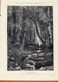Original Old Antique Print London Almanack Shady Retreat Forrest Stream 1883