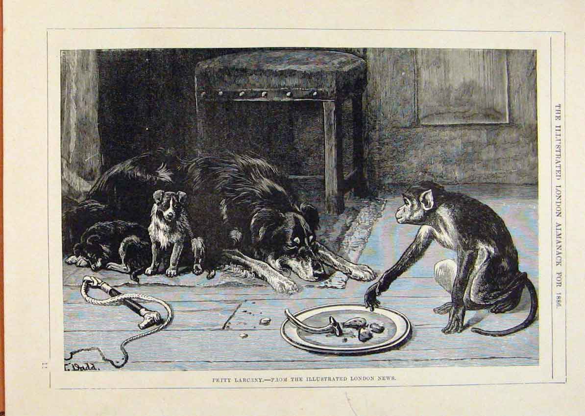 Original Old Antique Print London Almanack Petty Larceny Monkey Eating Dog Food