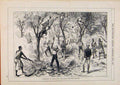 Old Antique Print London Almanack 1887 Christmas Korth Preparing Bonfire 19th