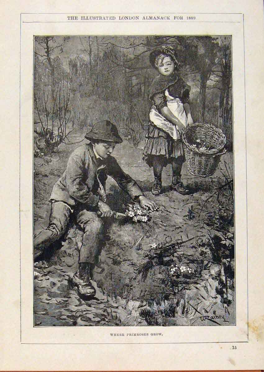 Original Old Antique Print London Almanack Where Primroses Grow Young Children