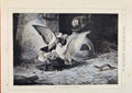 Original Old Antique Print London Almanack Un Welcome Visitor Badger And Birds
