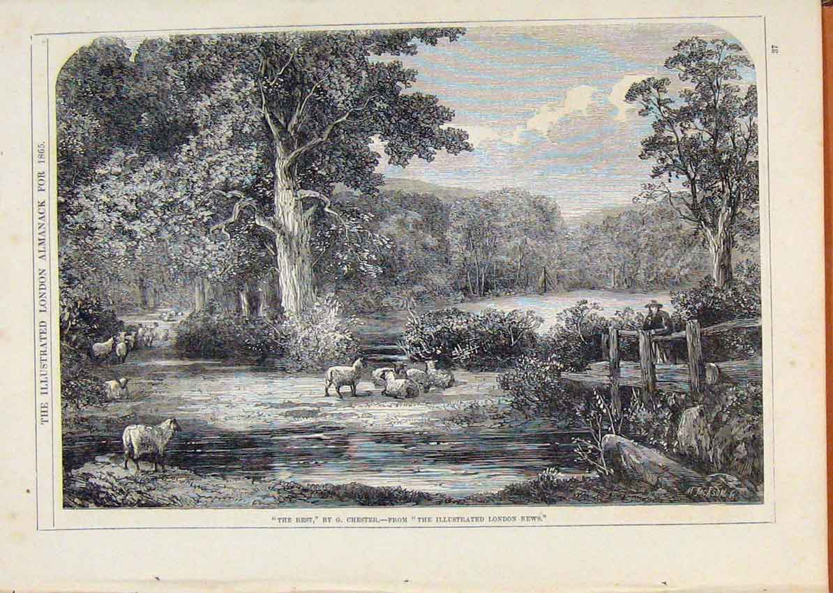 Original Old Antique Print London Almanack The Rest By Chester 1865 Victorian