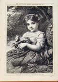 Original Old Antique Print London Almanack Chery Ripe By Peele 1867 Victorian