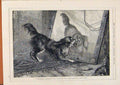 Old Antique Print London Almanack 1873 Dog And His Reflection By Macquoid 19th