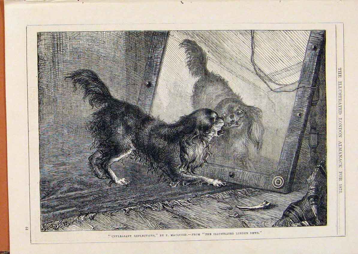 Old Antique Print London Almanack 1873 Dog And His Reflection By Macquoid 19th