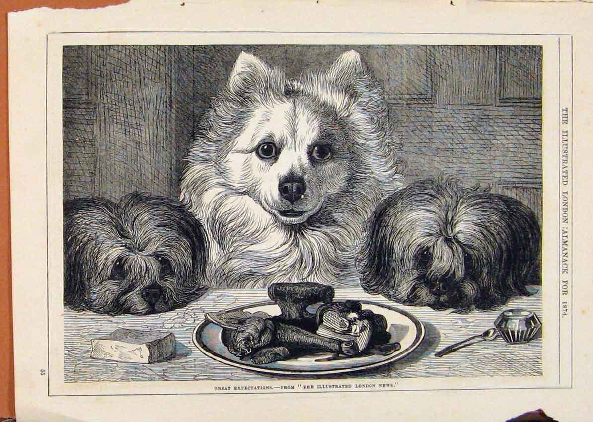 Original Old Antique Print London Almanack Great Expectations Dogs 1874 19th