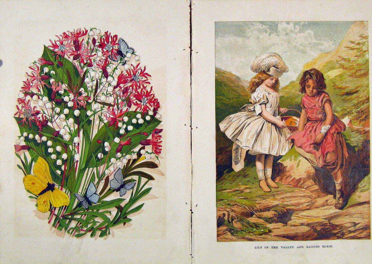 Original Old Antique Print Illustrated London Almanack Lilly The Valley Robin