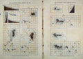 Original Old Antique Print Illustrated London Almanack Soloar Spot Oct & Nov 85