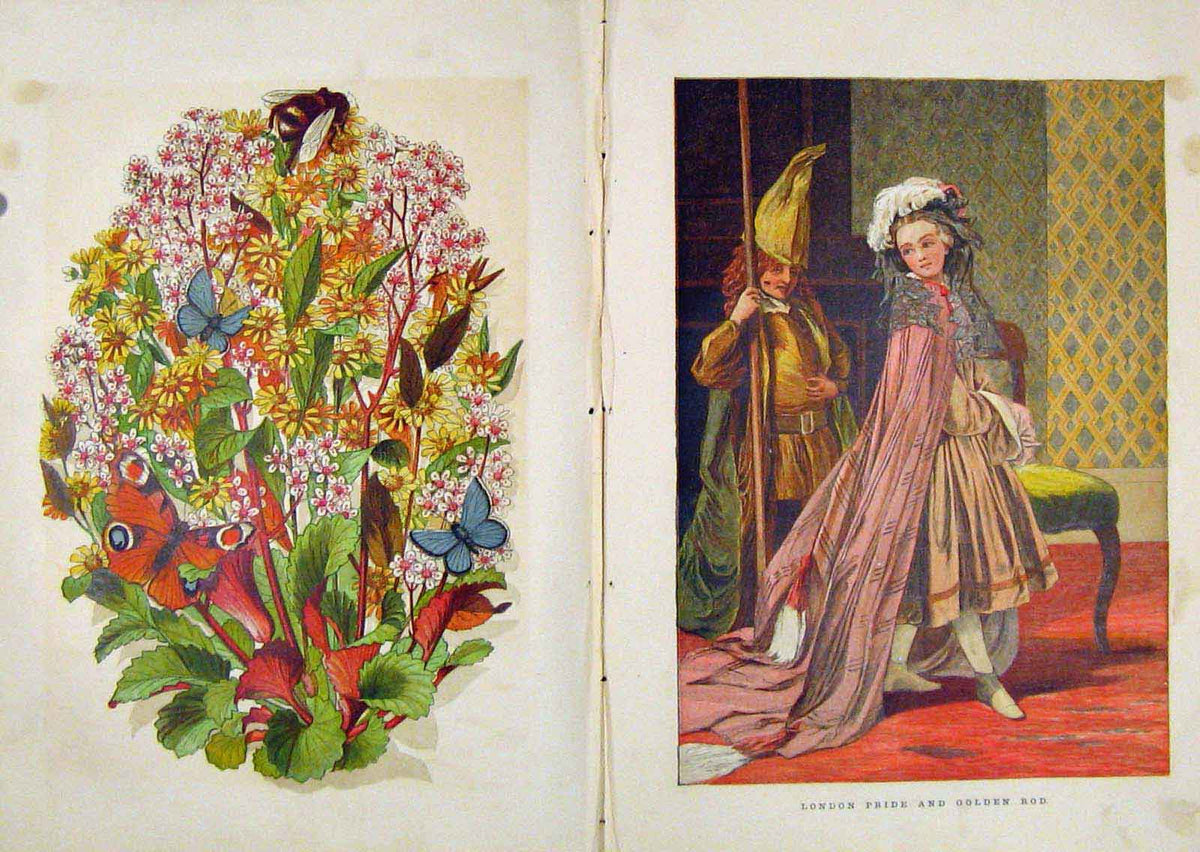 Original Old Antique Print Illustrated London Almanack London Pride And Gen Rod