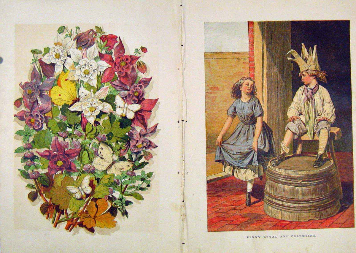 Original Old Antique Print Illustrated London Almanack Penny Royal Columbine