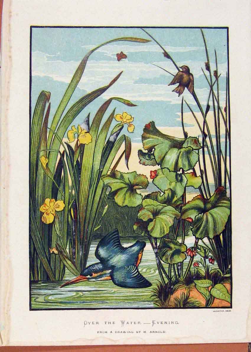 Original Old Antique Print Illustrated London Almanack Water At Evening Time