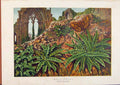 Original Old Antique Print Illustrated London Almanack Wall Ferns Rare Colour