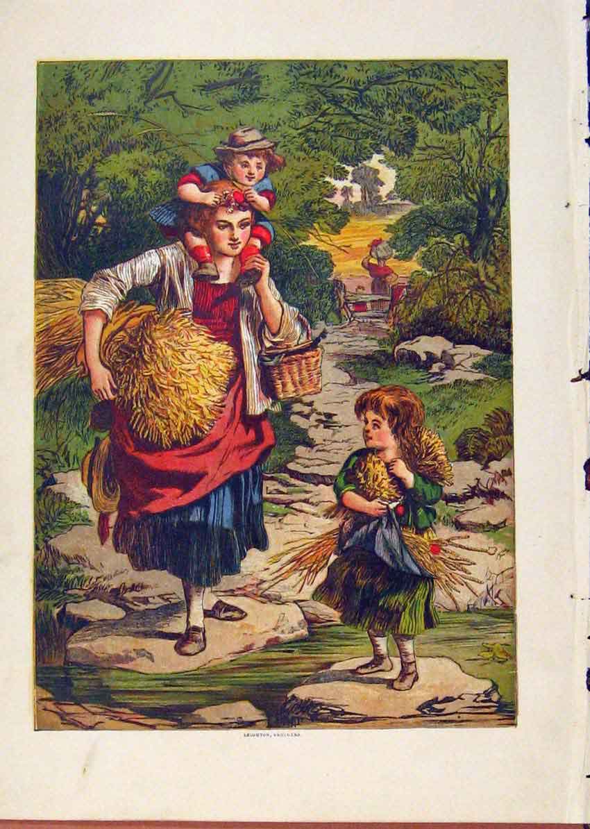 Original Old Antique Print Illustrated London Almanack Family Carring Straw